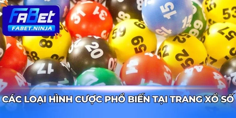 Xổ Số Fabet có nhiều lựa chọn cược đa dạng