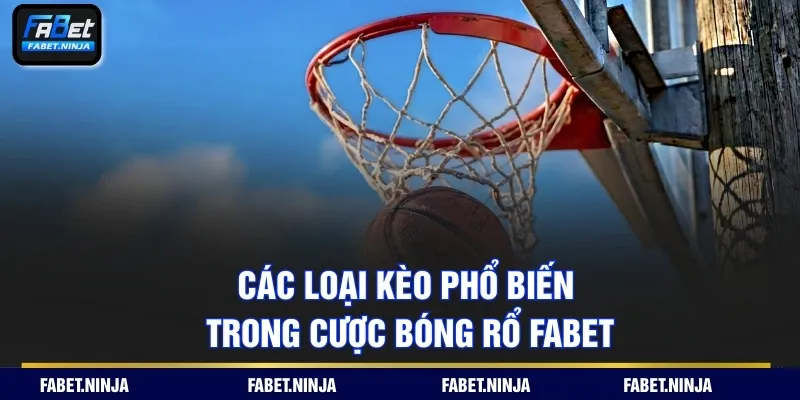 Các loại kèo phổ biến trong cược bóng rổ Fabet