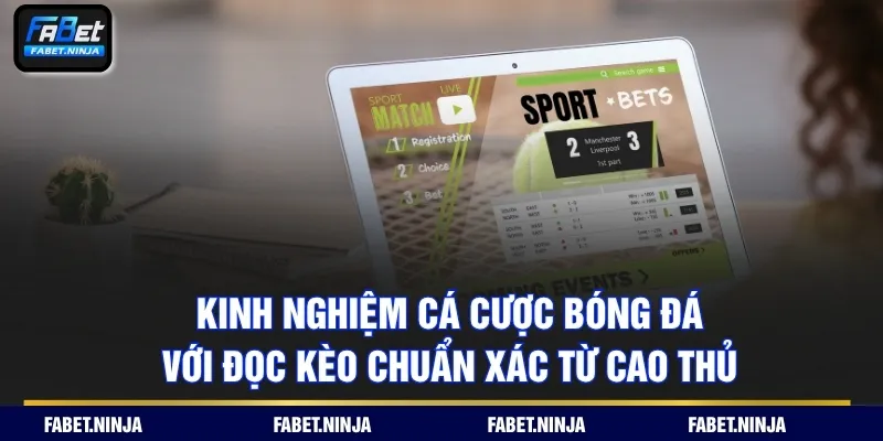 Kinh nghiệm cá cược bóng đá với đọc kèo chuẩn xác từ cao thủ