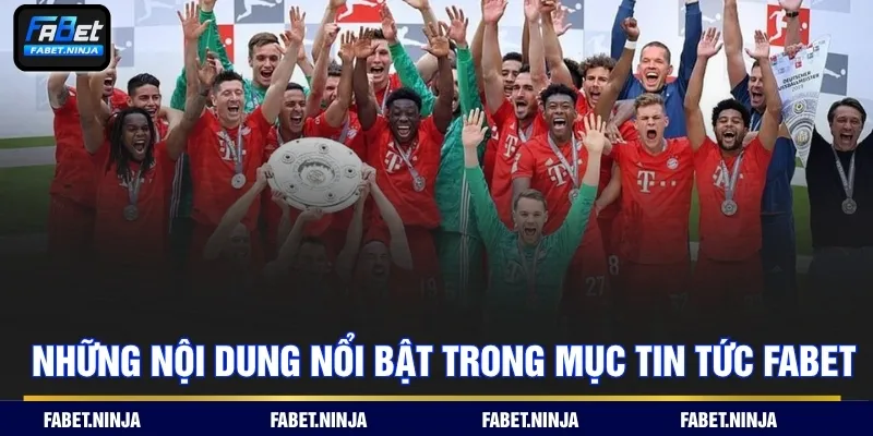 Những nội dung nổi bật trong mục tin tức Fabet