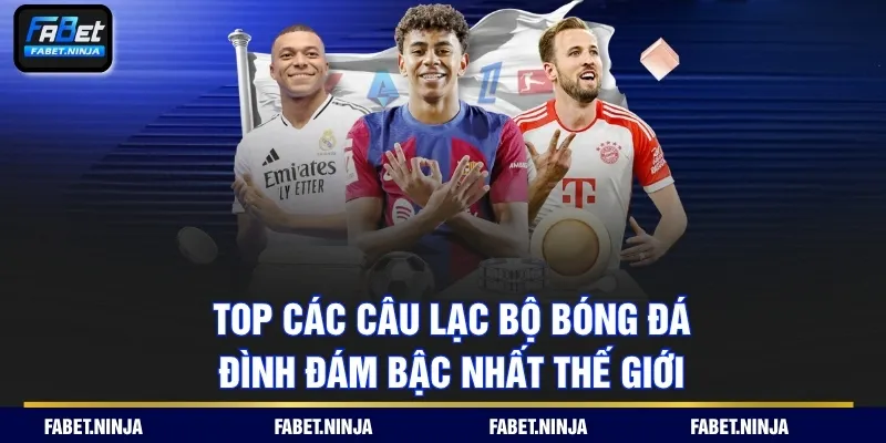 câu lạc bộ bóng đá