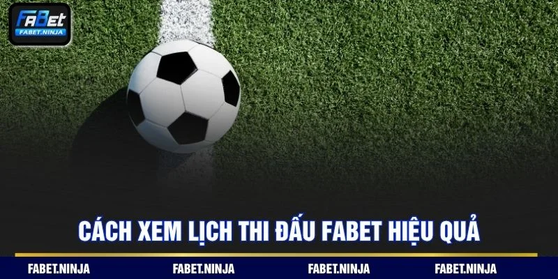 Hướng dẫn xem lịch thi đấu nhanh và chính xác cho người mới