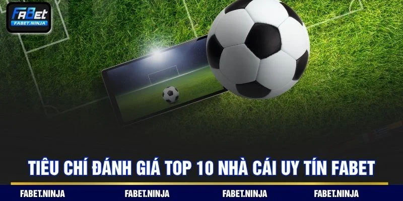 Các tiêu chí quan trọng giúp chọn nền tảng cá cược an toàn