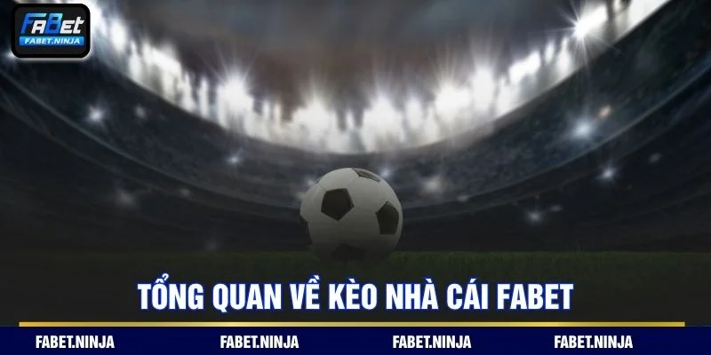 Tỷ lệ cược được cập nhật liên tục và đảm bảo minh bạch