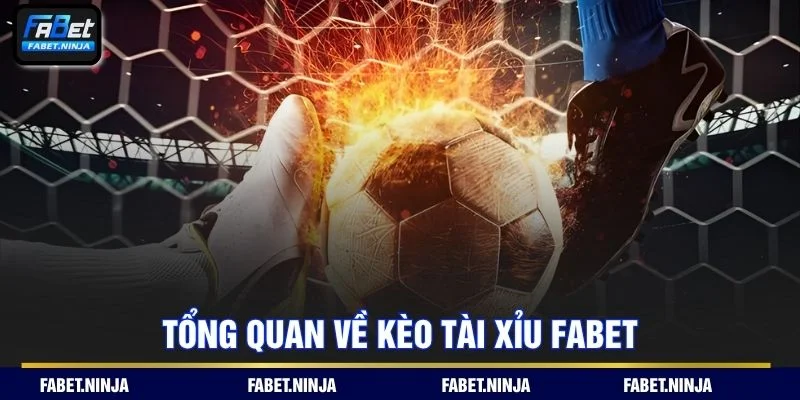 Dự đoán kèo cược với cách chơi đơn giản